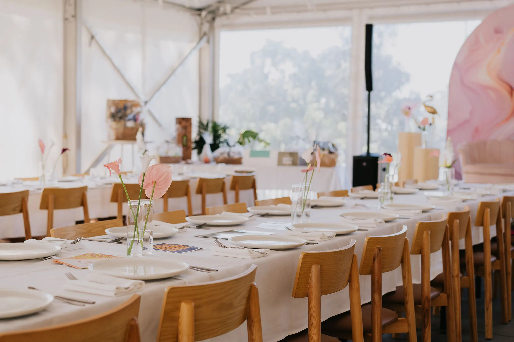 Kirstine Photography - The Cage Foundation Luncheon